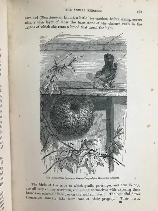 工坊特装本！1906年 宏观与微观宇宙 276幅版画插图 全真皮精装大32开 商品图10