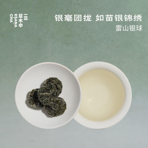 【2026春茶】春茶赏鲜 | 6口味品鉴装 | 绿茶类 商品图2