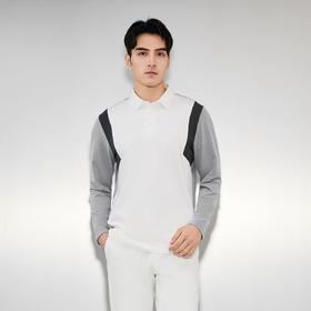 【富临店】雅戈尔长袖POLO