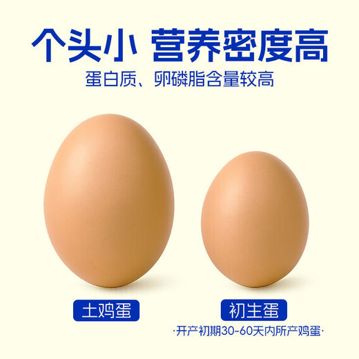 蛋鲜森 初生蛋30枚 900g 商品图1