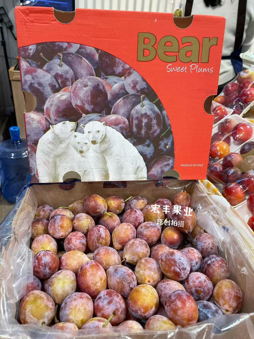 宏丰精选 智利西梅 大果，口感甜 活动价19.8一斤 商品图5