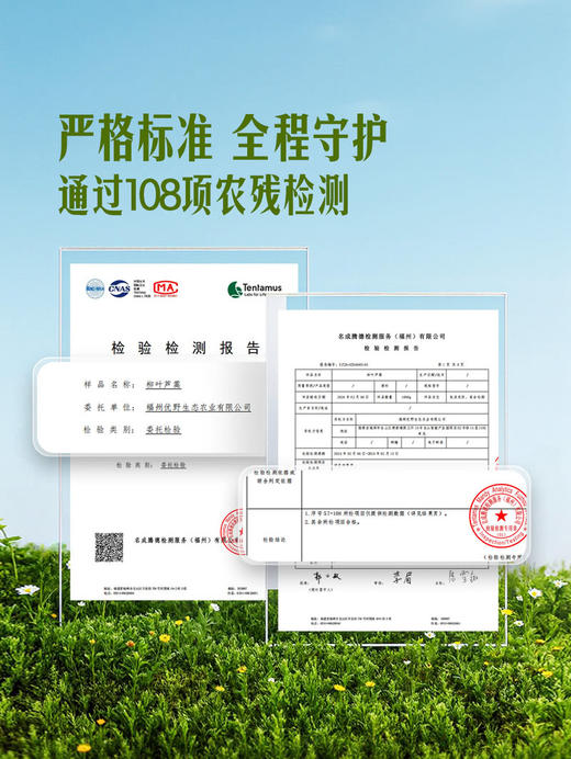 MM 山姆 柳叶芦蒿 400g 商品图3