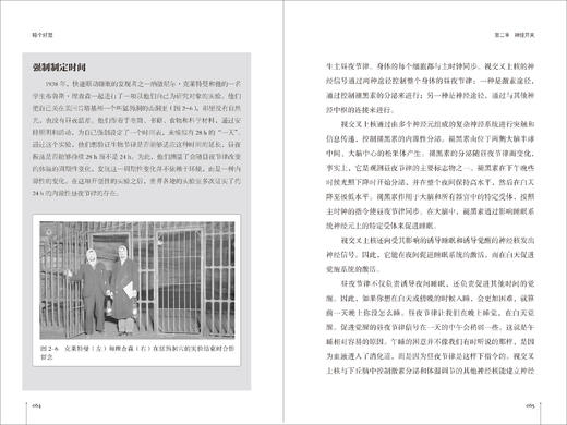 《睡个好觉》 商品图7