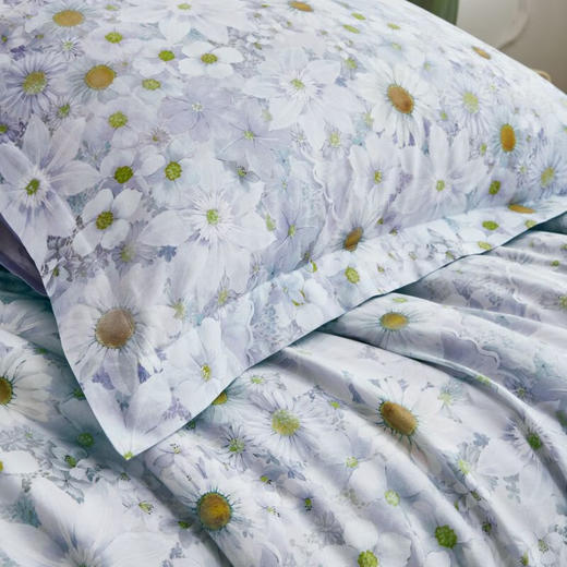 梦洁 纯棉印花四件套：小雏菊 商品图5