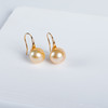 ⁶孤品：【南洋金珍珠】18K金钻石耳饰，10.1/10.3MM，编号EGS1，出证书，48小时鉴赏期——SS06-CR-YMZZ【HOT】 商品缩略图1