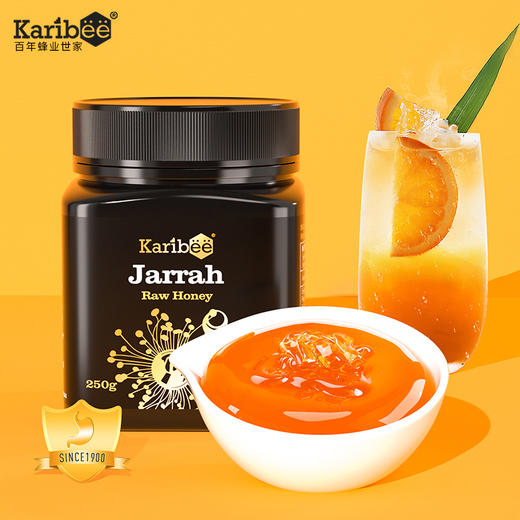 Karibee可瑞比桉树蜜TA25+ 250g澳洲原装进口 商品图0
