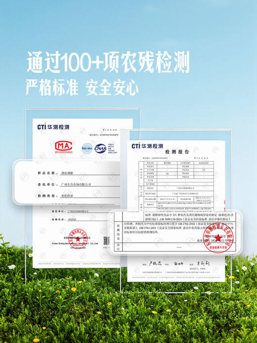 MM 山姆 辣椒炒肉薄皮椒 400g 商品图3
