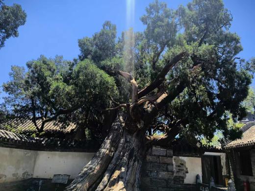 【独家】天地之中，太行之春丨 10人起订【4.18-4.24】（二三期已满人） 商品图7