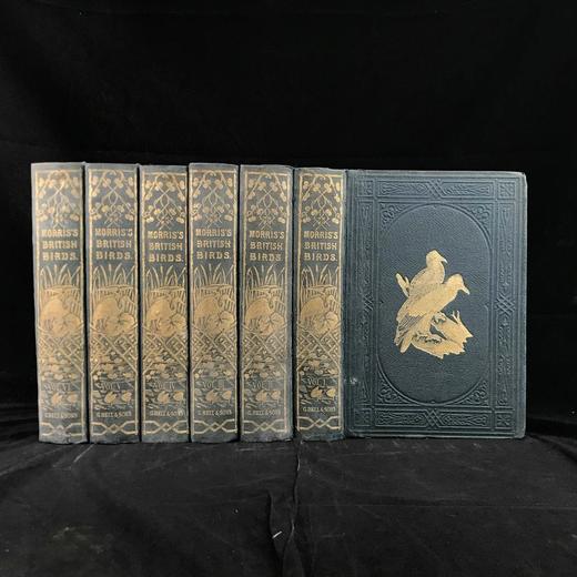 1870年 莫里斯《英国鸟类史》（全6卷） 358幅套色版画插图 漆布精装16开 商品图0