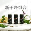 利芙耶  [新干净套组]精油套组 柠檬天竺葵生姜 商品缩略图0