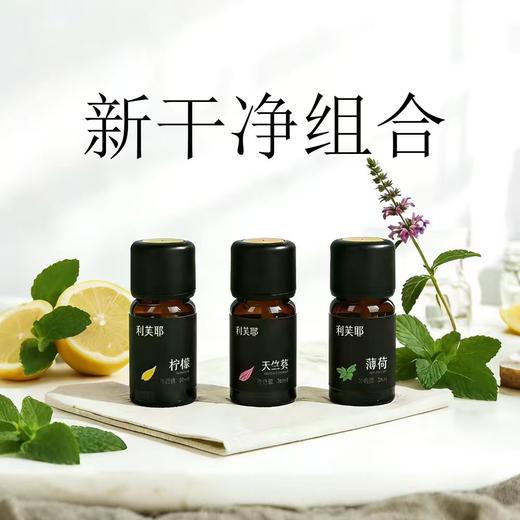 利芙耶  [新干净套组]精油套组 柠檬天竺葵生姜 商品图0