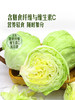 MM 山姆 球生菜 800g 商品缩略图5