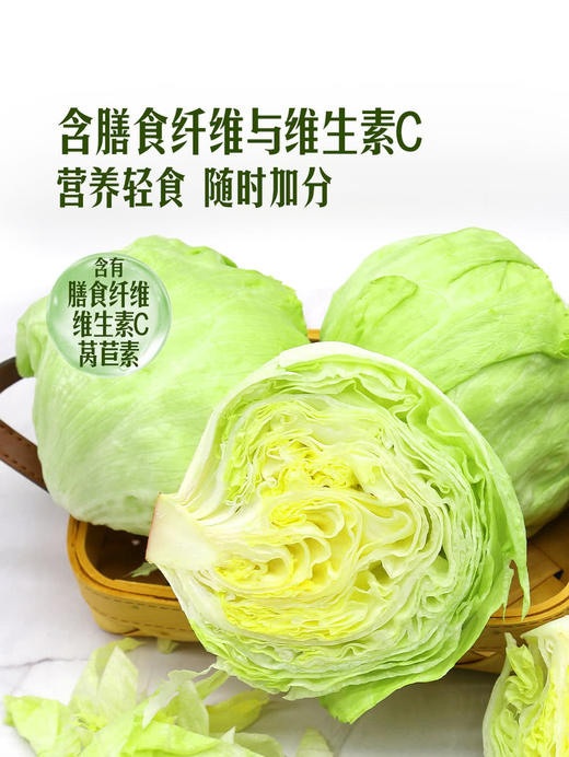MM 山姆 球生菜 800g 商品图5