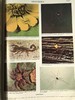 大英百科全书第14版（全24卷）数千幅插图（包括照片、版画、图表等） 精装大16开 商品缩略图11