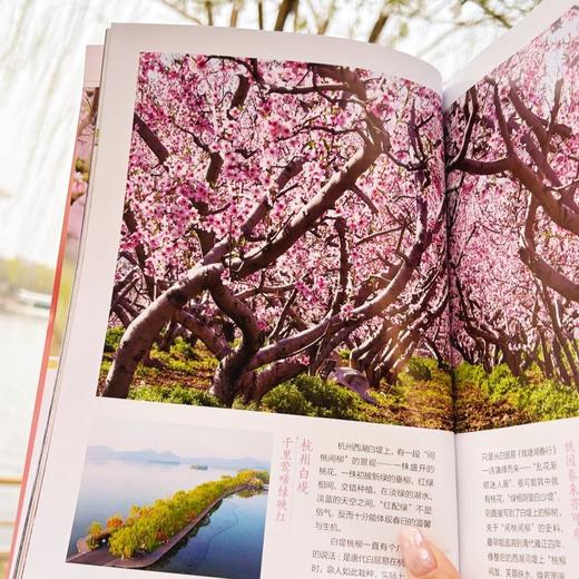 《博物》 自然人文综合知识类杂志 已更新至2026年四月刊（第4期） 《中国国家地理》青春版 科普百科 商品图2