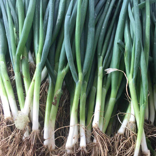 【限量福利3.9折优惠活动】鸿翠园 有机蘸酱菜套餐 商品图7