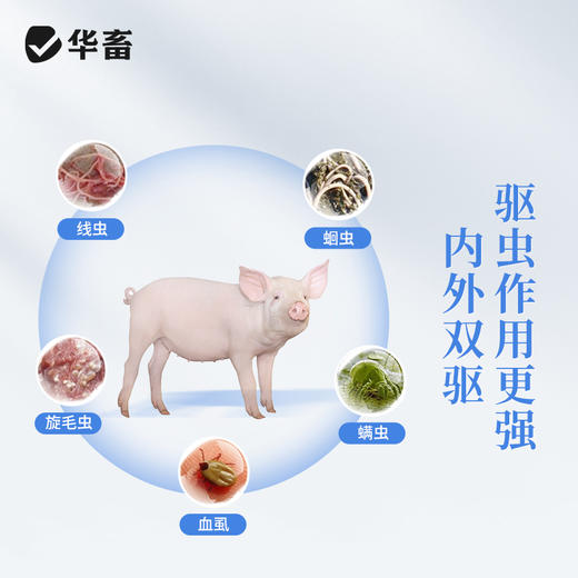 华畜多拉菌素注射液50ml 孕畜可用内外双驱 商品图2