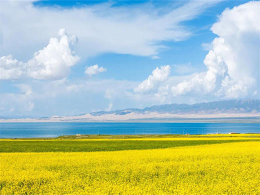 五一7日【西北环线】｜重走丝绸之路の青甘大环线-打卡网红东台吉乃尔湖·水上雅丹 商品图3