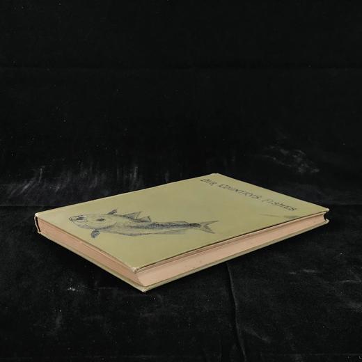 约20世纪早期 英国鱼类图鉴 33页彩色与大量黑白插图 漆布精装32开 商品图1