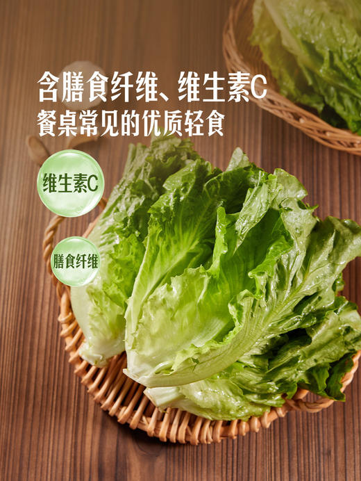 MM 山姆 供港生菜 600g 商品图5