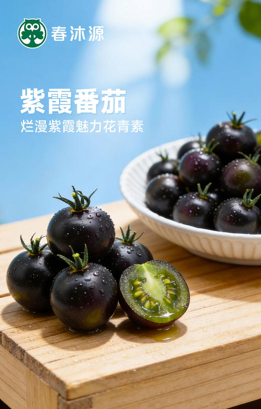 【高原七彩番茄调色桶】无激素、无农残、无重金属，皮薄多汁，口口爆浆，酸甜可口-CC 商品图8