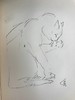 1930年 迈克尔·约瑟夫《猫咪的陪伴》 配大量手绘速写画 漆布精装16开 商品缩略图7