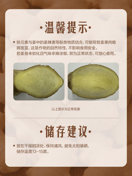MM 山姆 有机生姜 500g 商品图1
