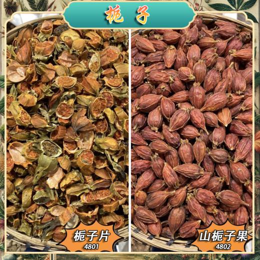 栀子 常用规格 山栀子切片  栀子个子  便于煎煮 商品图3
