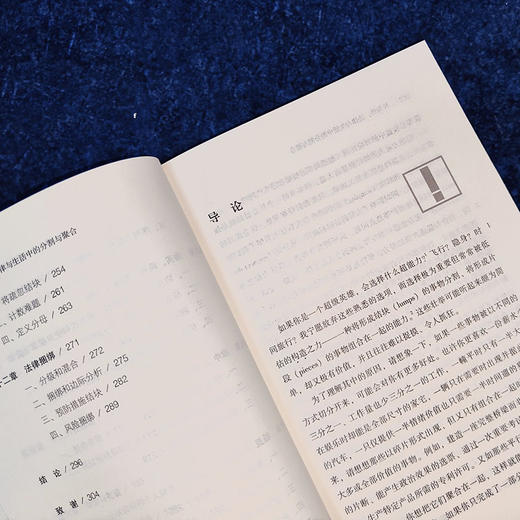 片与块：法律与生活中的分割与聚合 李·安妮·芬内尔 著  马润艺 李冠男 译 北京大学出版社 商品图4