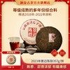 澜沧古茶2023年景迈陈醇普洱熟茶饼357g（1提拍7片） 商品缩略图0