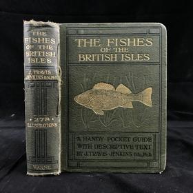 1925年 不列颠群岛鱼类图鉴 278幅插图（128幅彩色） 精装64开