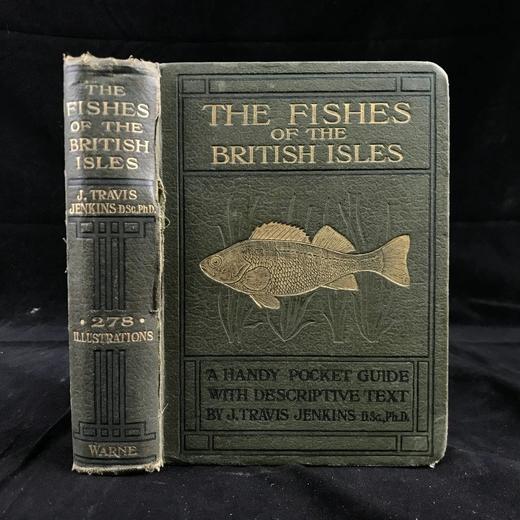 1925年 不列颠群岛鱼类图鉴 278幅插图（128幅彩色） 精装64开 商品图0
