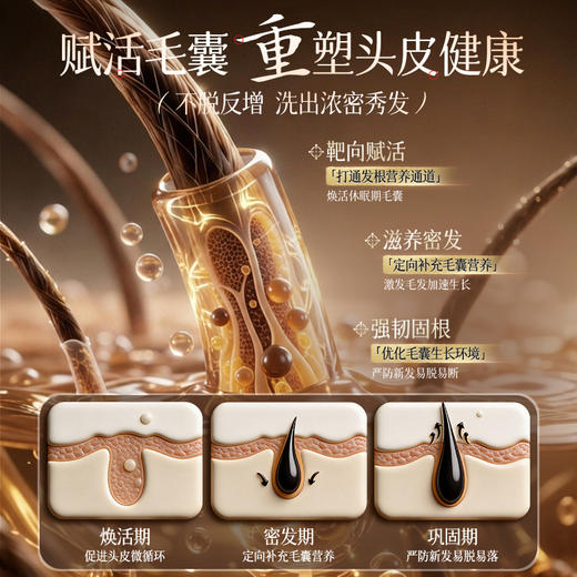 侧柏叶生姜洗发水防脱蓬松控油中药熬制去屑止痒育官方旗舰店正品 商品图2