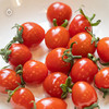 7天内发 企鹅市集|山东潍坊 斑斓小番茄盲盒 随机到手6个品种 优秀培育品种 滋味浓郁集中 商品缩略图4