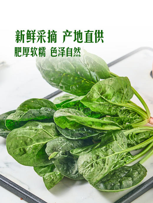 MM 山姆 笨菠菜 400g 商品图4