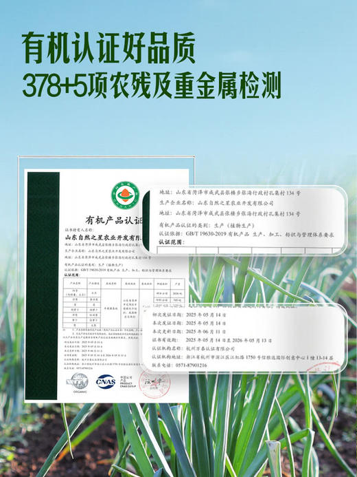 MM 山姆 有机大葱 500g 商品图3