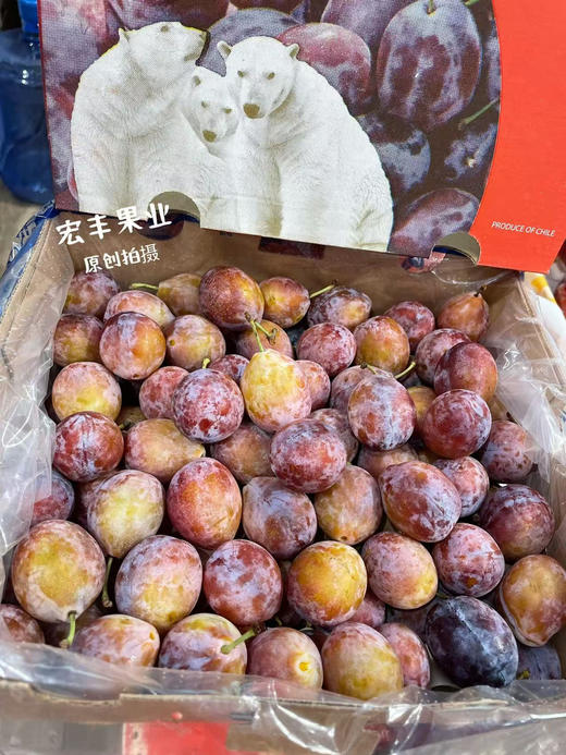 宏丰精选 智利西梅 大果，口感甜 活动价19.8一斤 商品图3