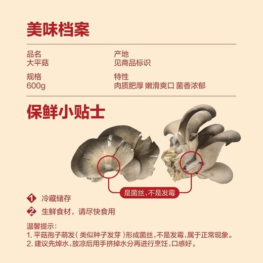 MM 山姆 大平菇 600g 商品图1