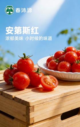 【高原七彩番茄调色桶】无激素、无农残、无重金属，皮薄多汁，口口爆浆，酸甜可口-CC