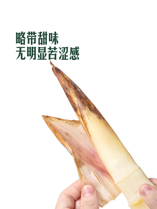 MM 山姆 雷竹笋（春笋）600g 商品图5