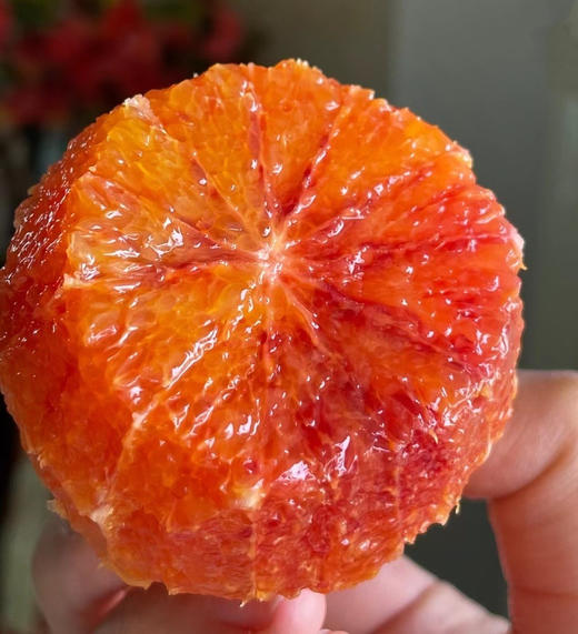 【塔罗科血橙】满身"血丝"还散发玫瑰香气果肉如果冻般的塔罗科血橙，一只血橙=3只普通橙子 商品图0