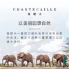 【香港直邮】Chantecaille香缇卡隔离35g/支防晒保湿遮瑕打底妆前乳素颜霜 商品缩略图4