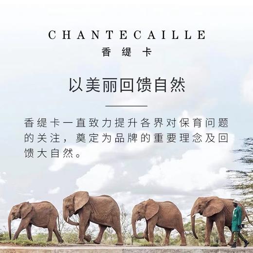 【香港直邮】Chantecaille香缇卡隔离35g/支防晒保湿遮瑕打底妆前乳素颜霜 商品图4