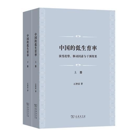 中国的低生育率：演变趋势、驱动因素与干预效果(上下册) 商品图0