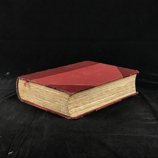 工坊特装本！1907年 英国鸟类图鉴 100幅彩色插图 真皮精装18开 商品图1