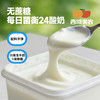 西域美农 每日24菌酸奶无蔗糖酸奶 1kg 轻负担放心喝 内蒙酸奶 商品缩略图0