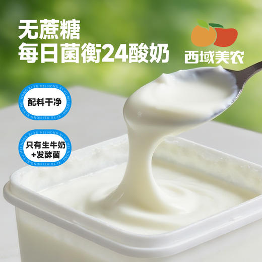 西域美农 每日24菌酸奶无蔗糖酸奶 1kg 轻负担放心喝 内蒙酸奶 商品图0