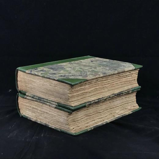 1919年 雷金纳德·法勒《英国岩石园》（全2卷） 105幅插图 真皮精装18开 商品图1