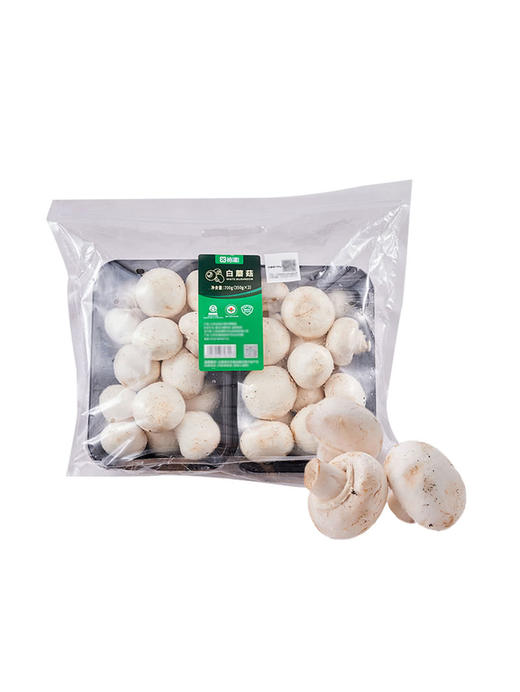 MM 山姆 白蘑菇 700g（350g*2） 商品图0
