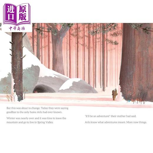 【中商原版】勇敢的小熊 Steve Small Brave Little Bear 英文原版 儿童绘本 动物故事图画书 温馨可爱 亲子读物 进口童书 商品图1